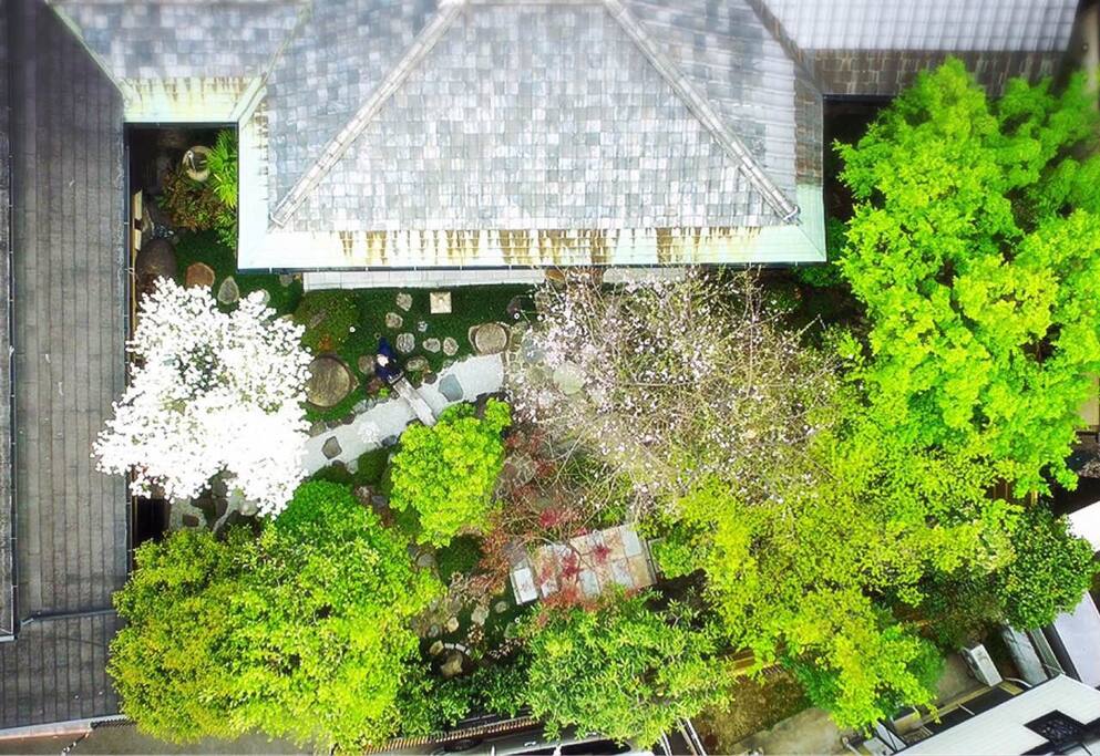 100平米超える広い日本庭園、About 100 square meters japanesegarden .
