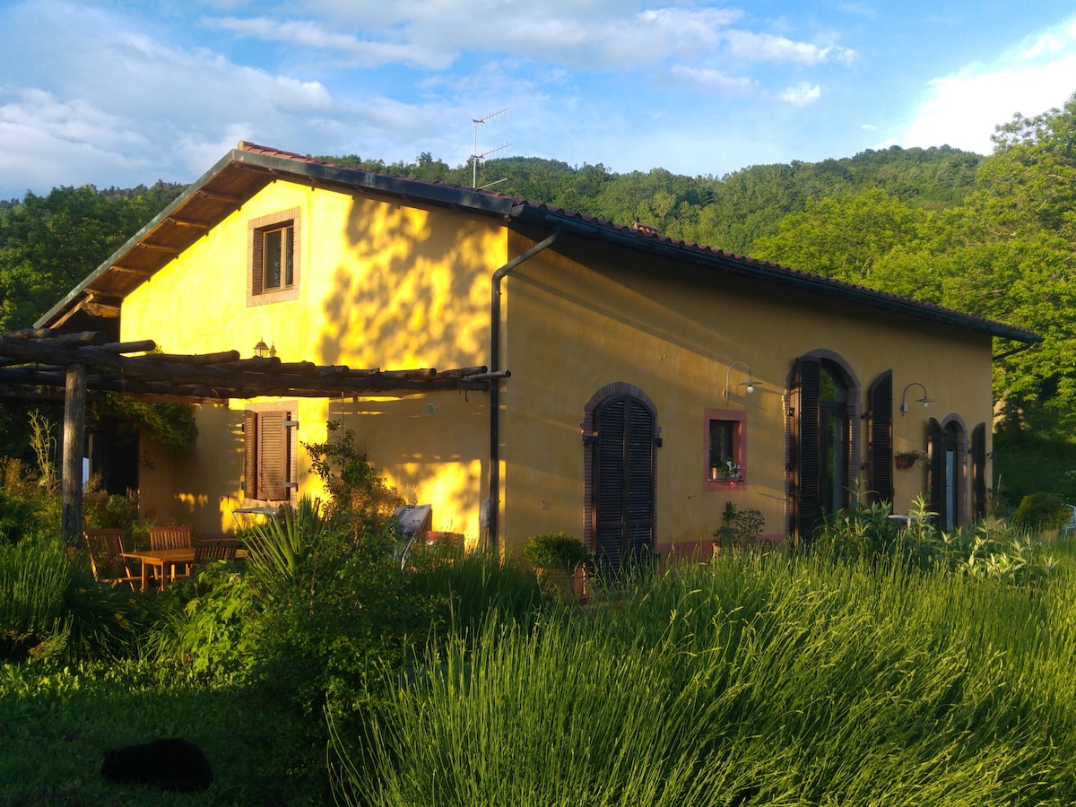 The exterior of the house is painted a warm yellow, framed by lush green foliage and tall grasses. A pergola is visible, providing partial shade, and the structure has arched windows with wooden shutters. The backdrop features gentle hills under a partly cloudy sky.