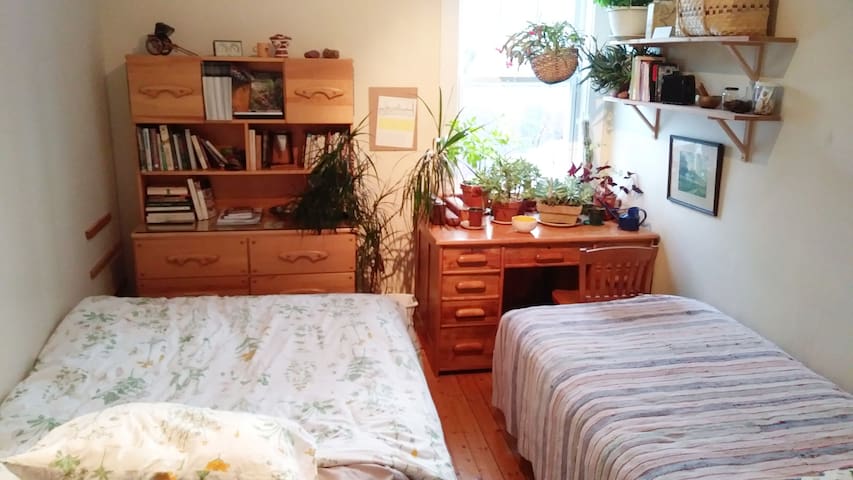 Single or double room with plants