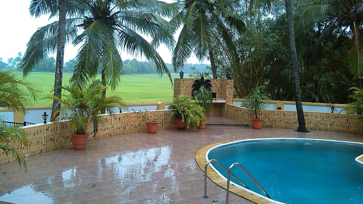 A pool area surrounded by lush greenery and tropical palm trees is visible. The tiled floor reflects water droplets from a recent rainfall, and potted plants add a touch of nature. The tranquil rice fields can be seen in the background, enhancing the serene environment.