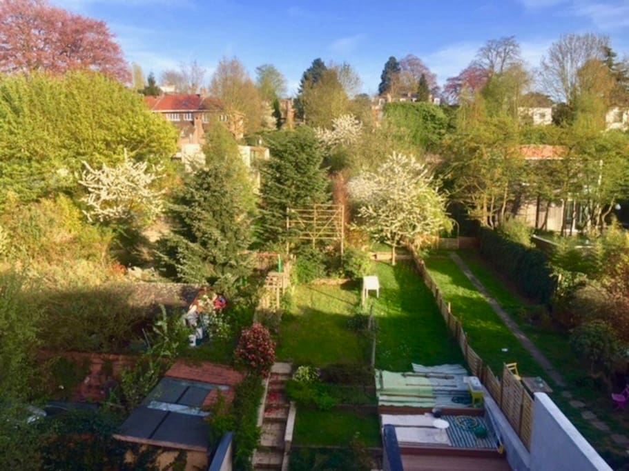 Jardin et alentours, vue depuis chambre