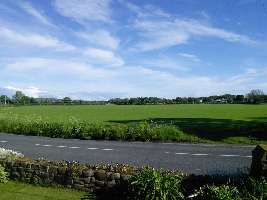 Country views