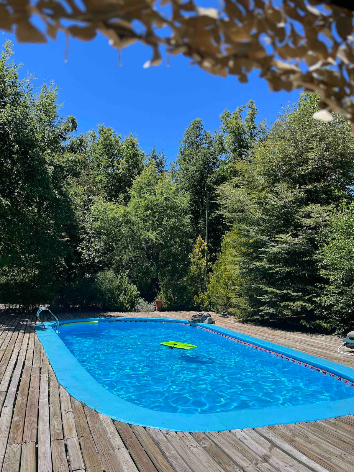 A rectangular swimming pool is set amidst lush greenery, surrounded by tall trees. The clear blue water reflects the blue sky, with a wooden deck providing ample space for relaxation. A bright yellow float is positioned on the water, adding a pop of color.
