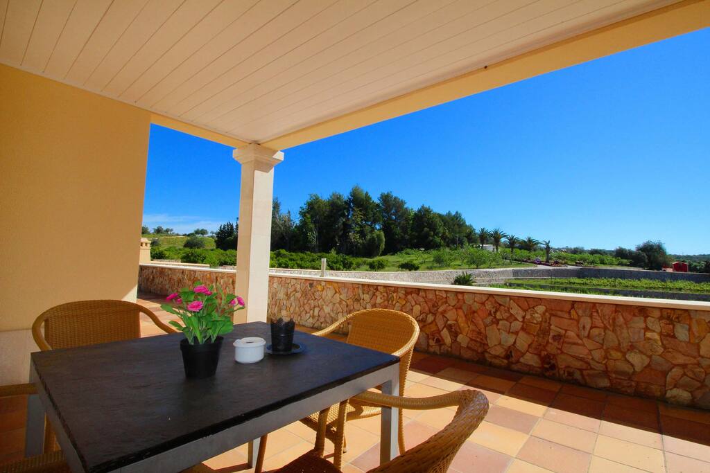 Beautiful terrace view across the vineyard