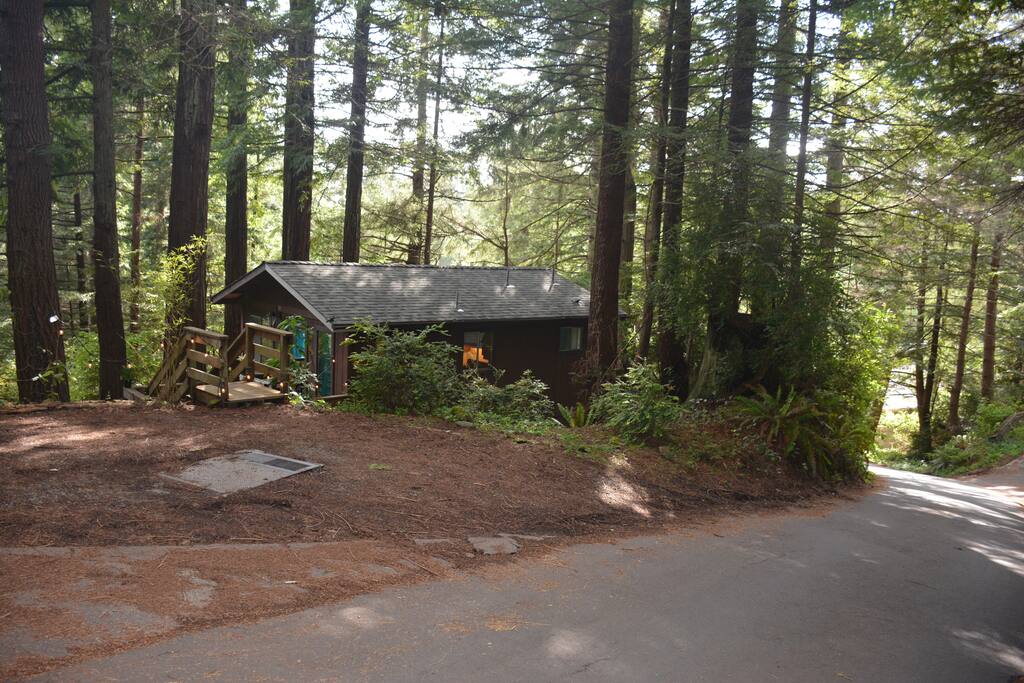 Cabin as viewed from road