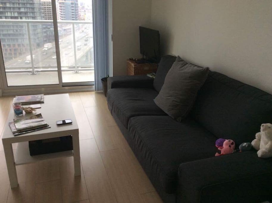 Brand New Couch & Mobile T.V