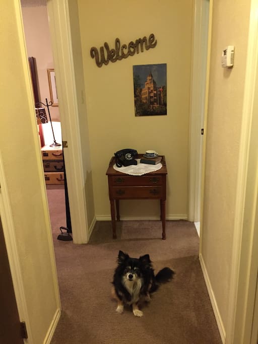Your well behaved pet is welcome. Zeek is an older Corgi mix. He can be friendly and tolerant but prefers solitude.