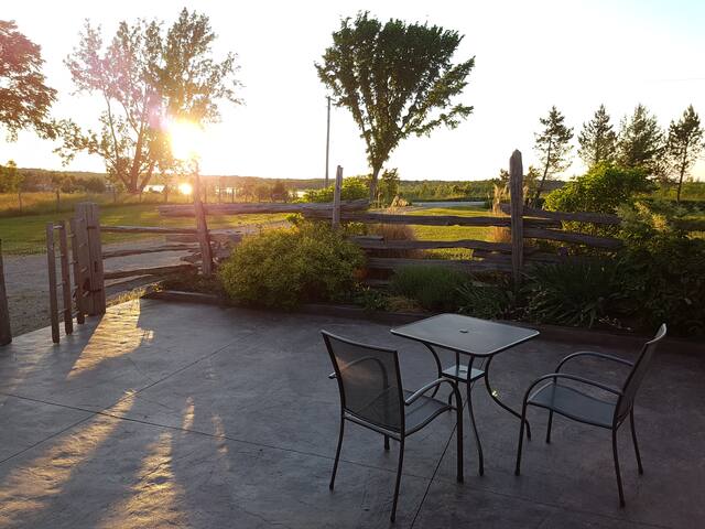 Soulbird Suite