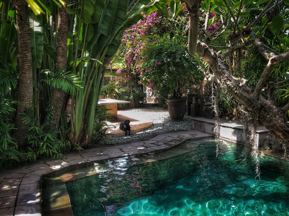 A tropical garden surrounds a serene swimming pool with clear turquoise water. Lush green foliage and vibrant flowers create a secluded atmosphere. A black dog can be seen resting near the pool, blending harmoniously with the natural setting. The area is designed for relaxation amidst nature.