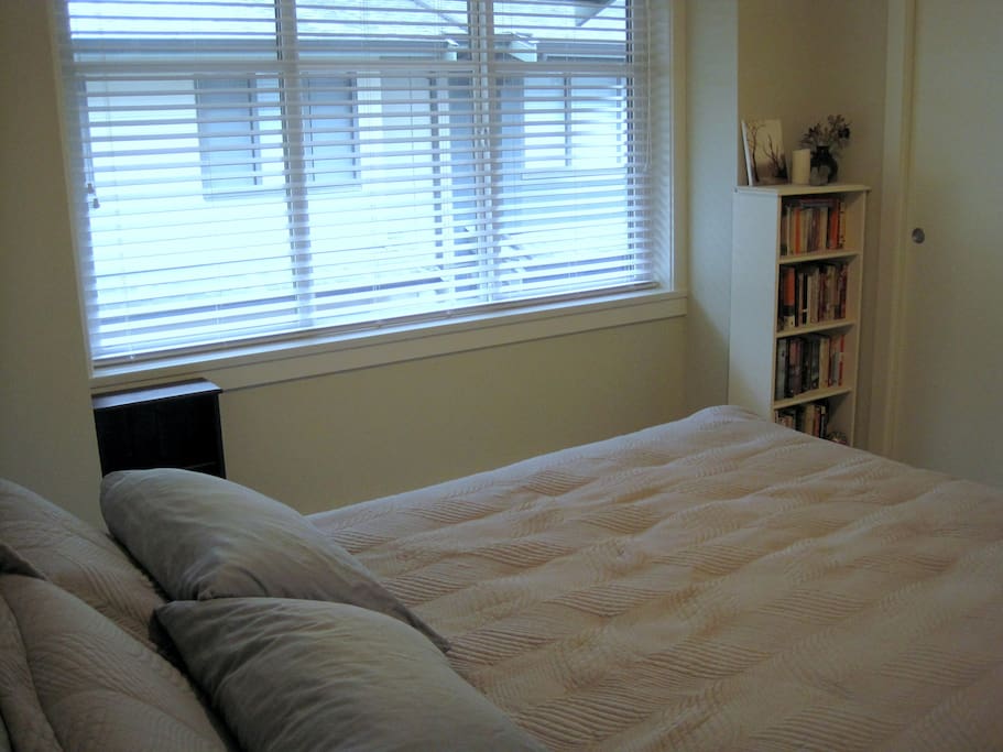 Large north-facing window