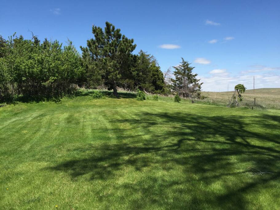 part of yard