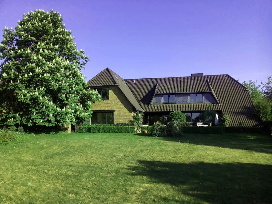 Rückwärtige Ansicht des Hauses mit Garten // Back view of the house from the garden