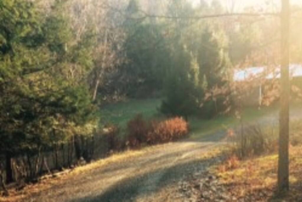 View from front steps