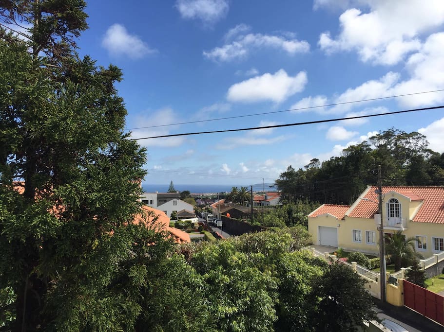 vista do balcao