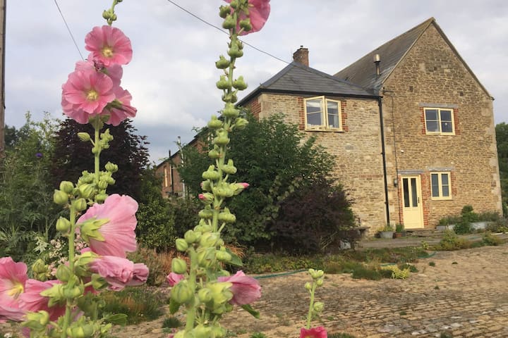 Naish House - 2 Bedroom Ground Floor Flat