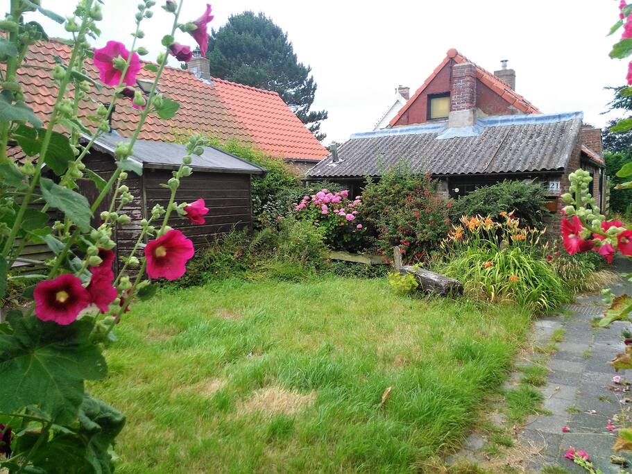 Tuin