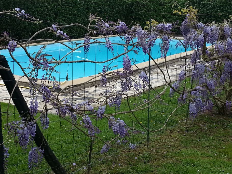 Piscine de plus près