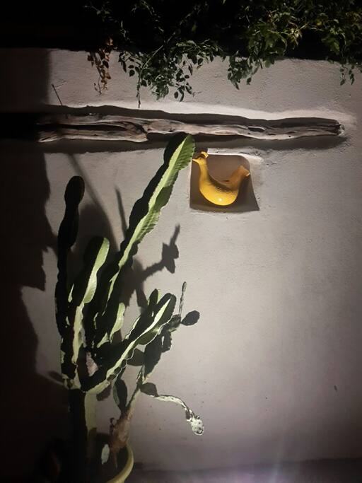 scorcio giardino.