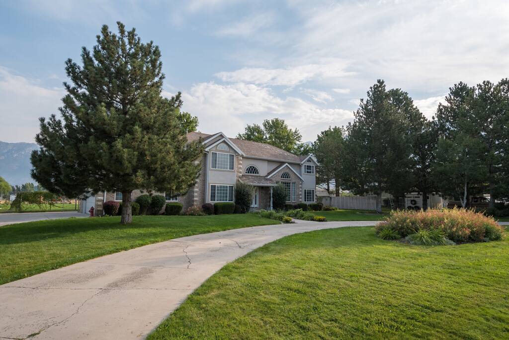 View of house front yard