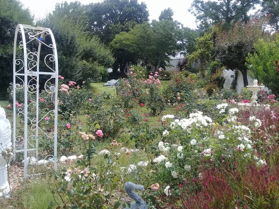 Lara's Cottage - overlooks Zoe's Rose Garden and across to the Swimming Pool