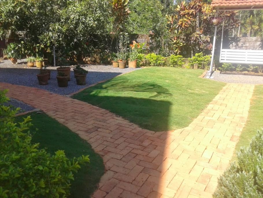 our lawn