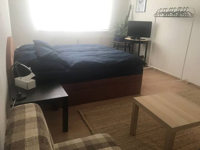 free apartment Just Private Kladno, renovované