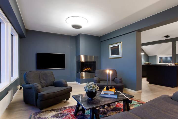 Big beautiful house near by the center of Oslo gallery image 3