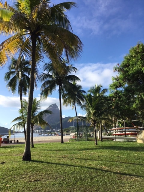 A landscape featuring tall palm trees swaying gently in the breeze. In the background, a rocky mountain silhouette is visible against a bright blue sky. Expanses of grassy area provide a natural setting, with hints of a beach visible nearby.
