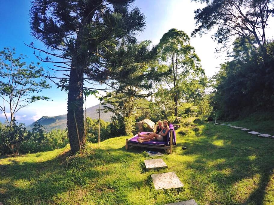 An outdoor spot to enjoy your afternoon