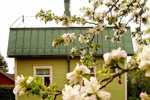 The Little Green House