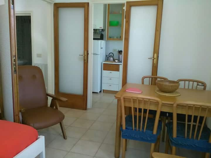 Viareggio Passeggiata Fronte Mare - ビアレッジョ