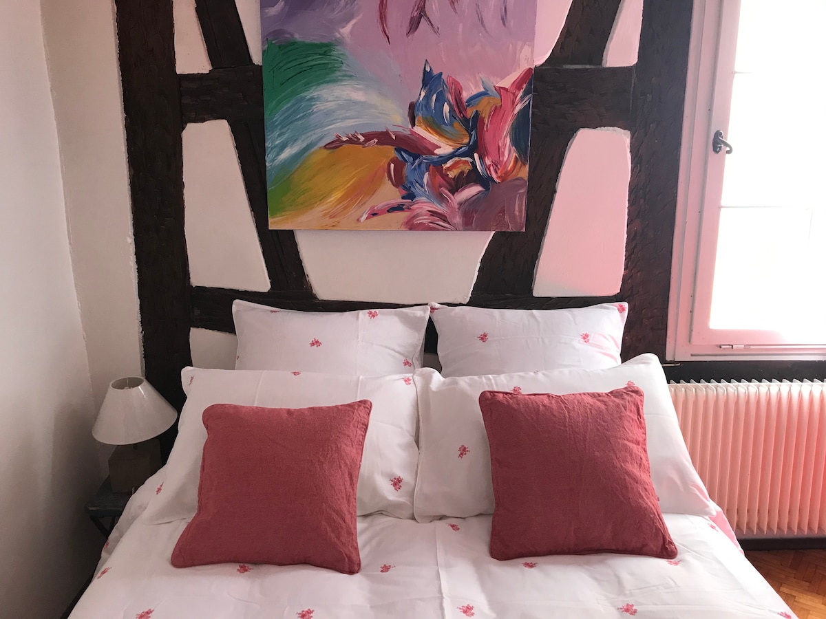 Gite, historical centre of Colmar Apartments for Rent in Colmar