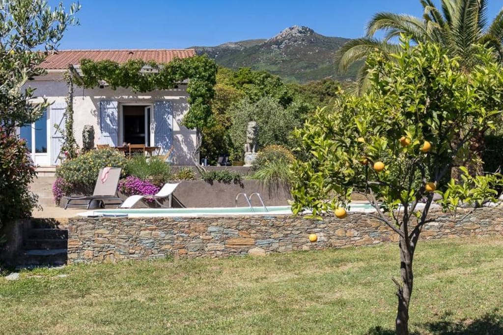 Vue depuis le jardin sur la maison et la piscine