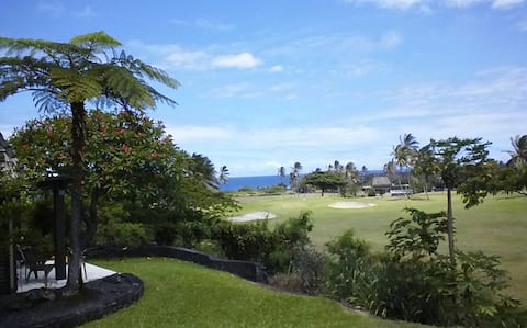 Mauna Kai'iki Unit # 39
