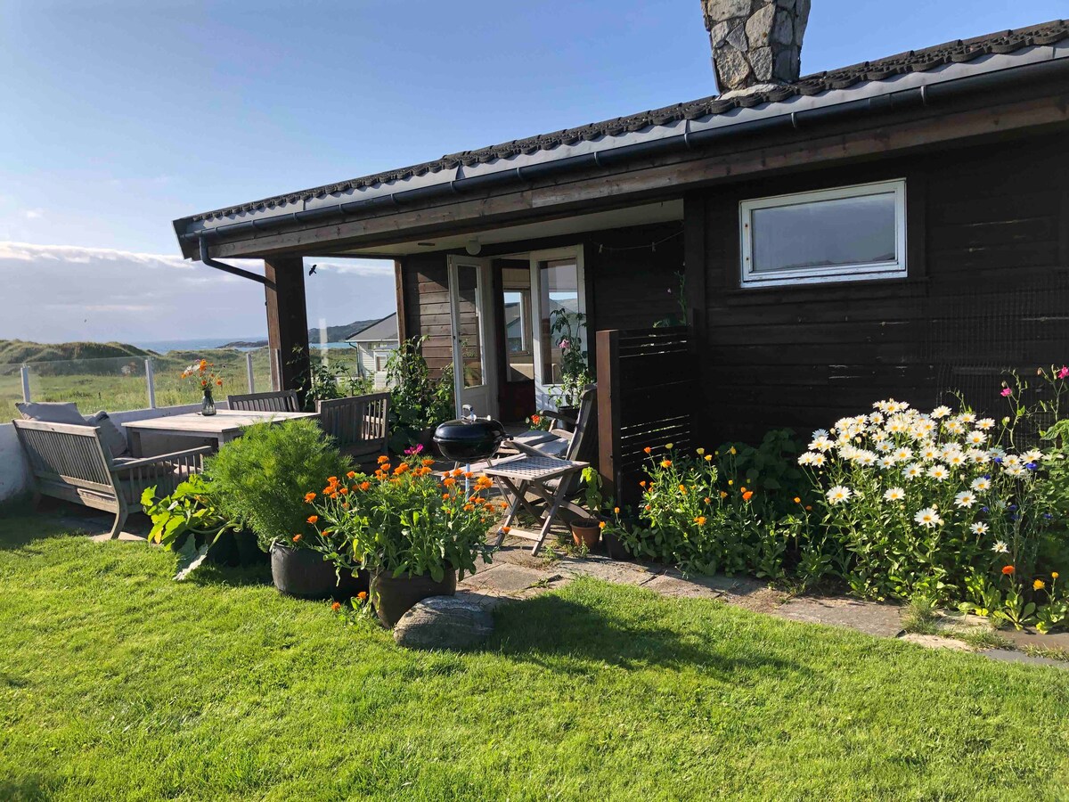 A charming exterior view of the cabin shows a wooden facade with a small patio area. Colorful flowerbeds featuring various blooms and lush green grass surround the entrance, while outdoor seating is arranged to enjoy the garden.