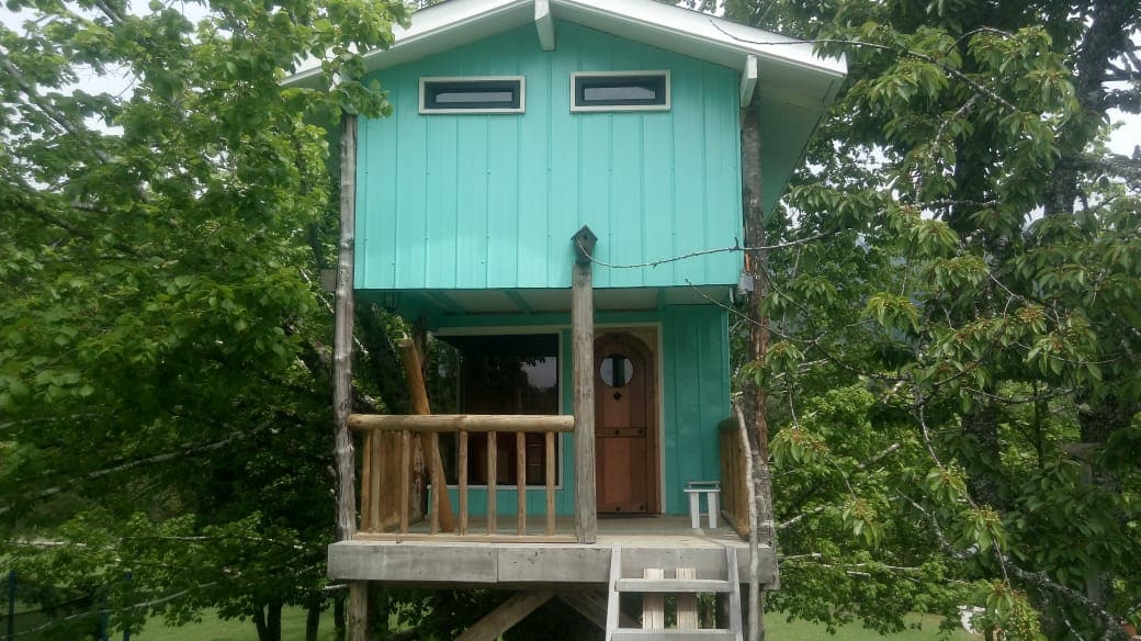A charming treehouse is elevated among trees, featuring a light blue exterior and wooden accents. It includes a small front porch with railings and a staircase leading to the entrance door, framed by large windows that invite natural light.