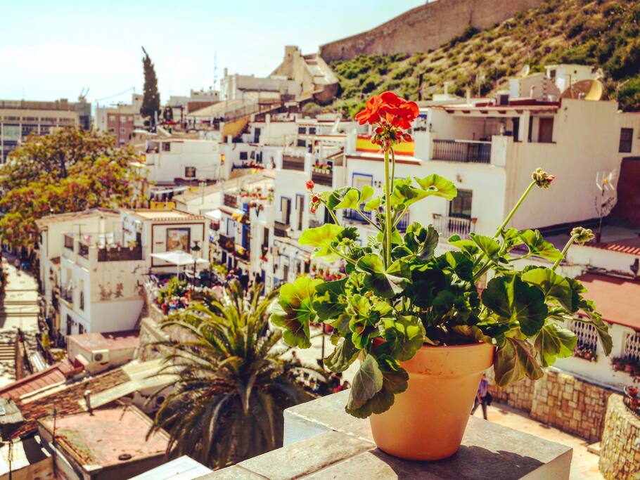 Magnificent views of the old town from Rooftop terrace.