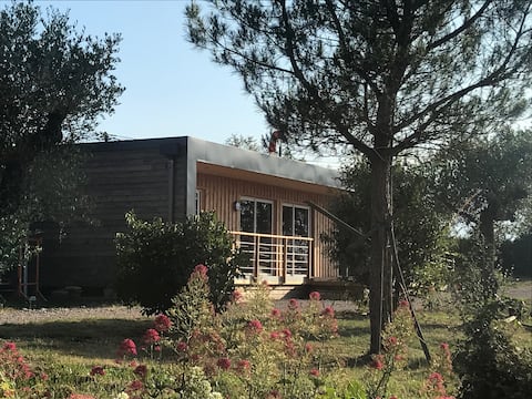 Le Lodge aux Etoiles near Cordes-sur-Ciel