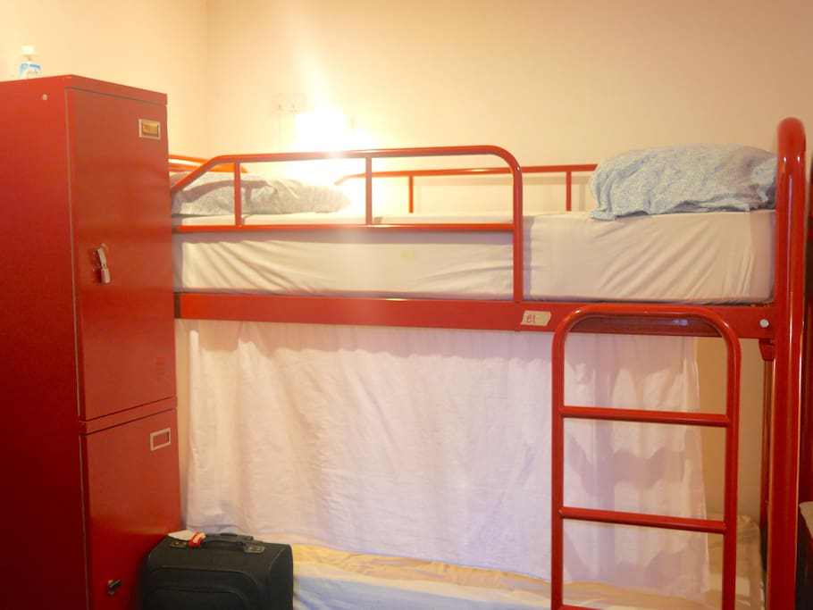 Beary's 6 Bed Mixed Dorm (Ground Floor)