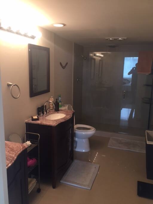 Master washroom