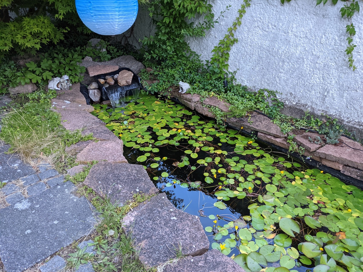 A tranquil garden pond is surrounded by a stone border, featuring lush lily pads floating on the surface. Small patches of greenery extend around the pond, while a gentle waterfall can be seen cascading into the water. Decorative stones add character to the serene environment.