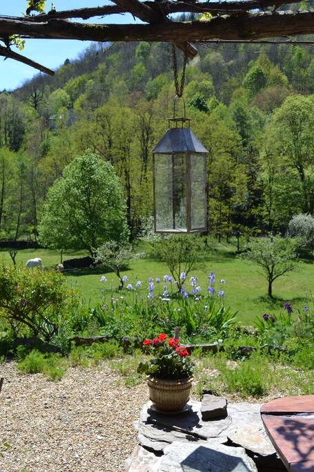 ambiance