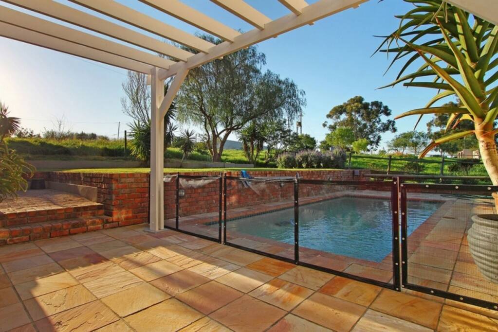 Solar Heated Pool