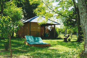 A cabin is nestled among lush greenery, featuring a blue roof and large windows that reflect the natural surroundings. A wooden lounge chair with a green cushion rests on the grassy area, offering a peaceful spot to relax under the shaded trees.