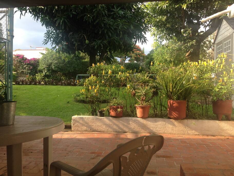 Vista desde la terracita.