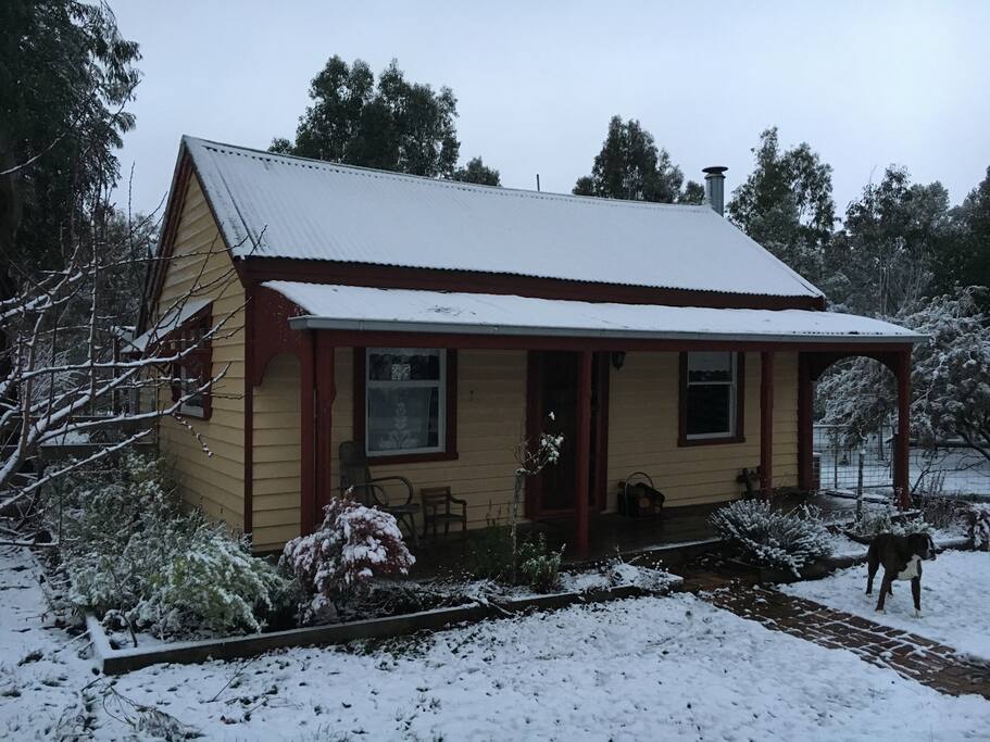 Snow in 2016