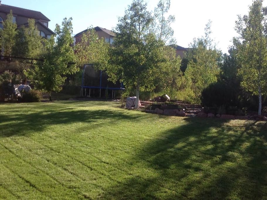 Backyard view from my deck