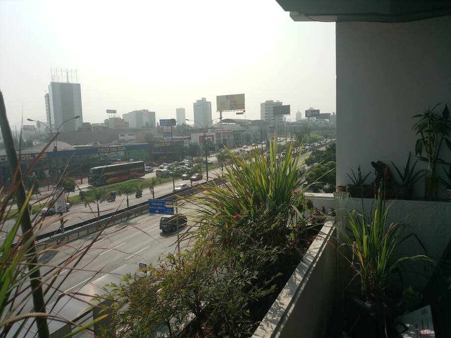 Vista de la avenida