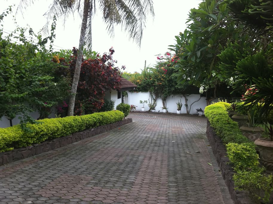 Driveway that leads to the road down to the ocean! Go ahead take a walk!