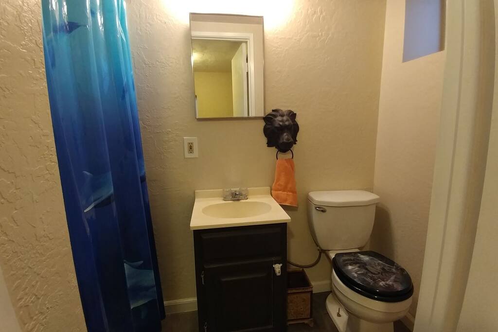 Small bathroom with stand up shower.